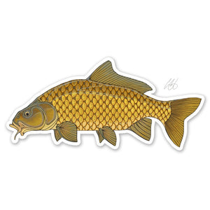 Casey Underwood common carp decal on a white background.