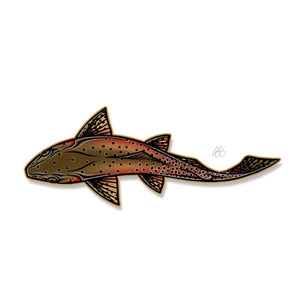 Casey Underwood swimming cutthroat trout decal on a white background.