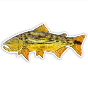 A Casey Underwood decal featuring an illustration of a golden dorado with a left-facing orientation, against a white background.