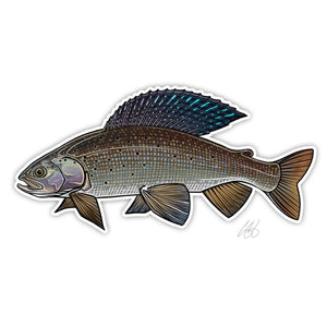 Casey Underwood grayling decal on a white background.