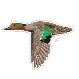 Casey Underwood green winged teal decal on a white background.
