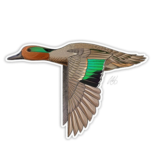 Casey Underwood green winged teal decal on a white background.