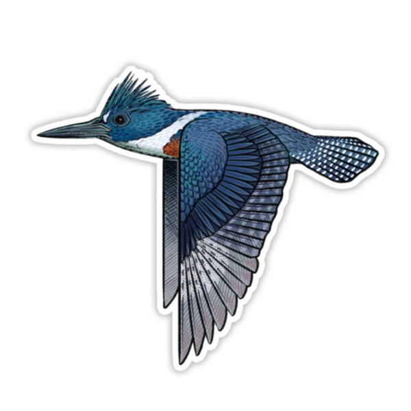 A Casey Underwood decal of a kingfisher bird in flight with detailed feather patterns and a blue back, on a white background.