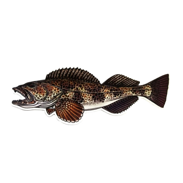 Casey Underwood Ling Cod Decal on a white background.