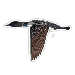 Casey Underwood loon decal on a white background.