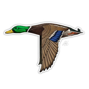 Casey Underwood mallard drake duck decal on a white background.