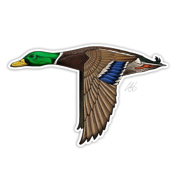 Casey Underwood mallard drake duck decal on a white background.