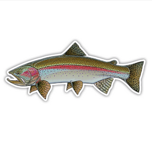 A Casey Underwood decal of a rainbow trout with detailed colors and patterns, against a white background.