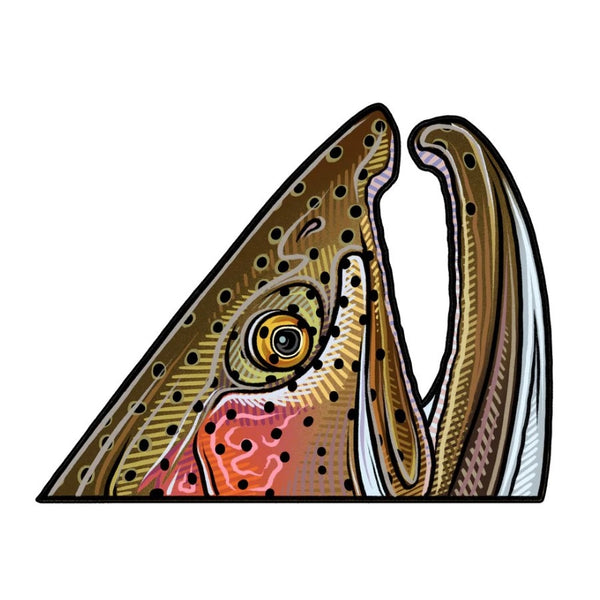 Casey Underwood Rainbow Trout Rise Decal