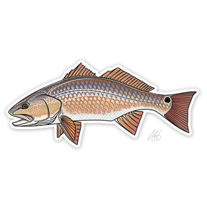 Casey Underwood redfish decal on a white background.