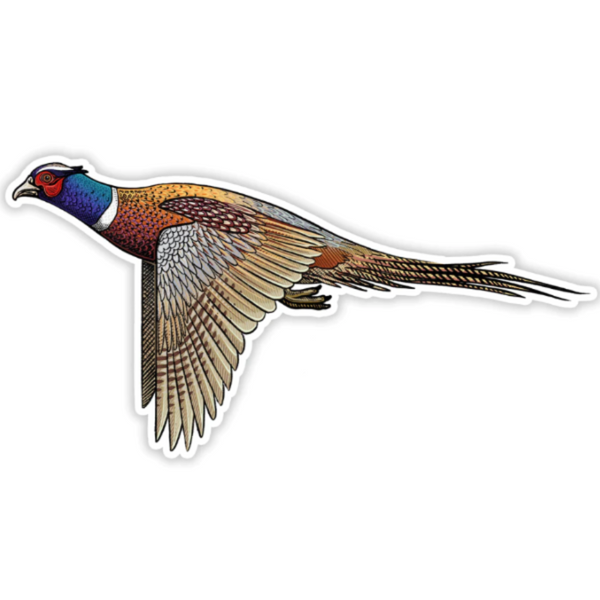 A Casey Underwood decal featuring an illustration of a flying ringneck pheasant with a left-facing orientation, against a white background.