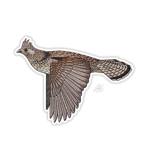 Casey Underwood ruffed grouse decal on a white background.