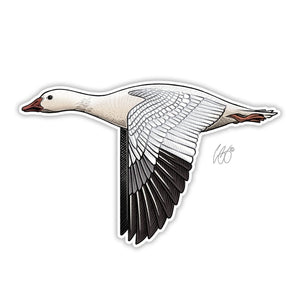 Casey Underwood snow goose decal on a white background.