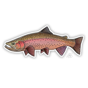 Casey Underwood spring rainbow trout decal on a white background.