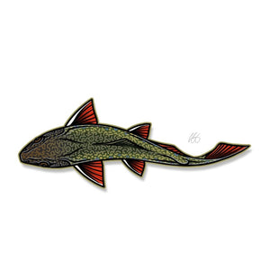 Casey Underwood swimming brook trout decal on a white background.