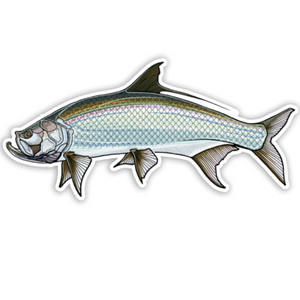 A Casey Underwood decal featuring a tarpon with a left-facing orientation, against white background.