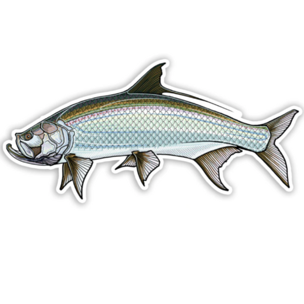 A Casey Underwood decal featuring a tarpon with a left-facing orientation, against white background.