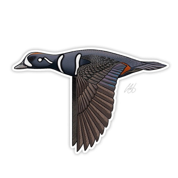 Casey Underwood wood duck decal on a white background.