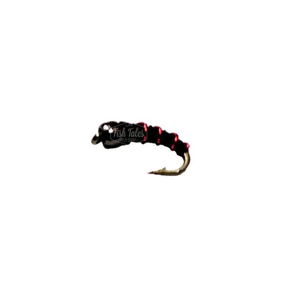 Bead head zebra midge nymph in black with red ribbing and black bead on a white background.