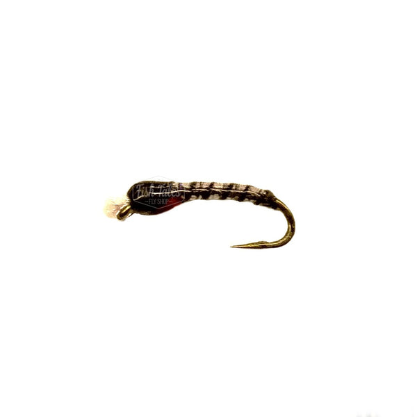 Catch Flies Beck's ASB UV Bud Chironomid Pupa
