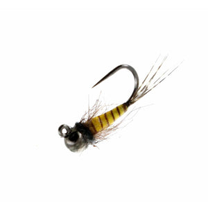 Catch Flies' Newbury's Purdee John fly fishing nymph with a striped yellow body on a white background.
