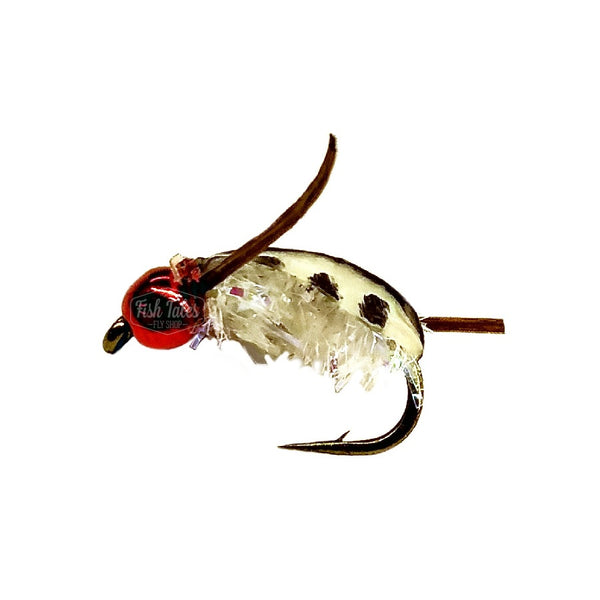 Catch Flies Robinson's Water Boatman Stillwater Fly
