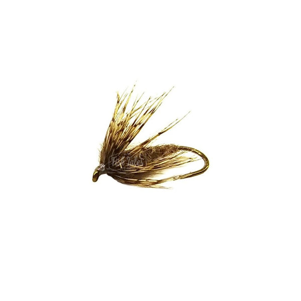 Soft hackle hare's ear fly in natural colors on a white background.