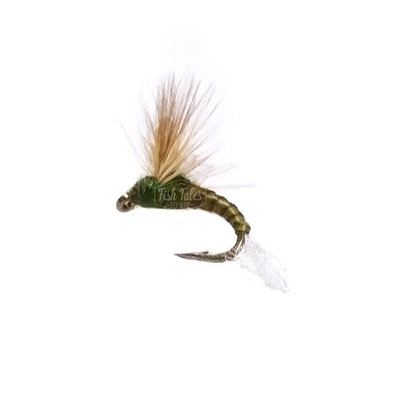 Steve's sipper mayfly dry fly in blue winged olive colors on a white background.