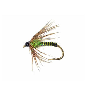 Tailwater soft hackle nymph fly with green body and brown soft hackle collar on a white background.