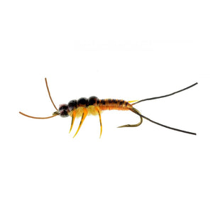 Thompson's phony stoney stonefly nymph with golden stone colors and realistic styling on a white background