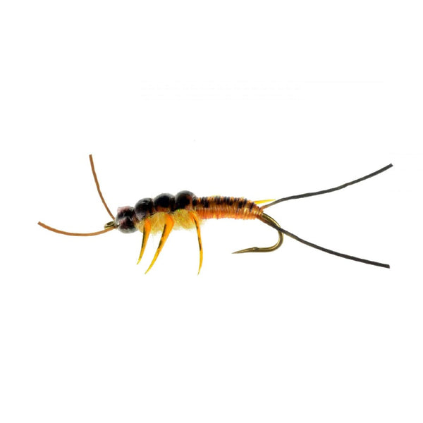 Thompson's phony stoney stonefly nymph with golden stone colors and realistic styling on a white background