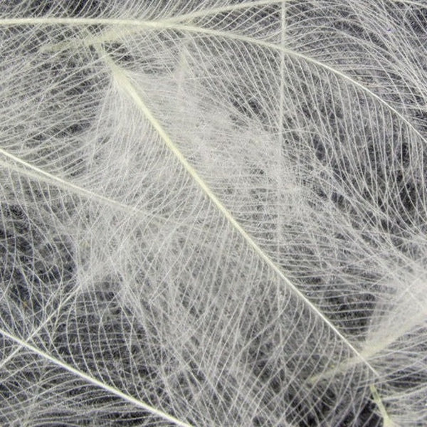 Hareline Premium CDC Feathers