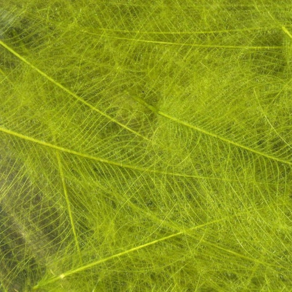 Hareline Premium CDC Feathers