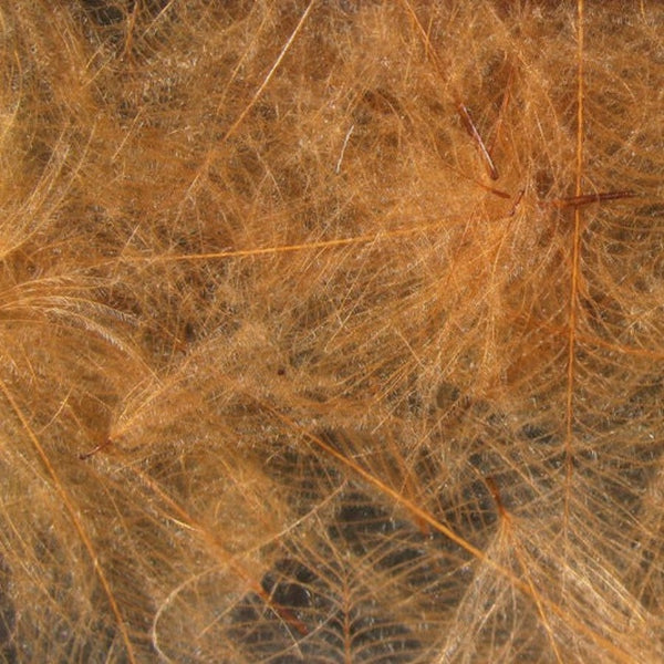Hareline Premium CDC Feathers