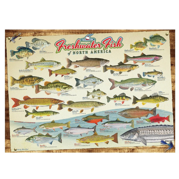 Cobble Hill 1000 Piece Puzzle