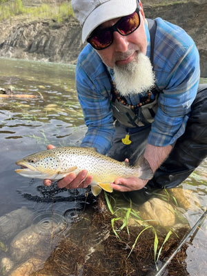 fish tales staff member rob s holding a brown trout in a stream