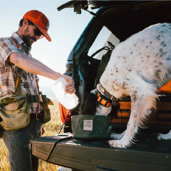 Man and dog by a car with a dog drinking from the Duskwood Fishpond Bow Wow Travel Water Bowl on the tailgate.