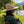 Fishpond High Country Hat