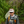 Fishpond Sabalo Lightweight Visor