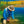 2026 Fly Fishing Dreams calendar cover with a person holding a brown trout by a lake.