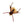 Freestone Flies Lil Pete Copper Hopper Foam Dry Fly