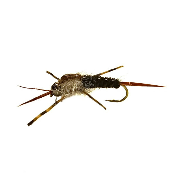 Freestone Flies Touchstone Bead Head Stonefly Nymph