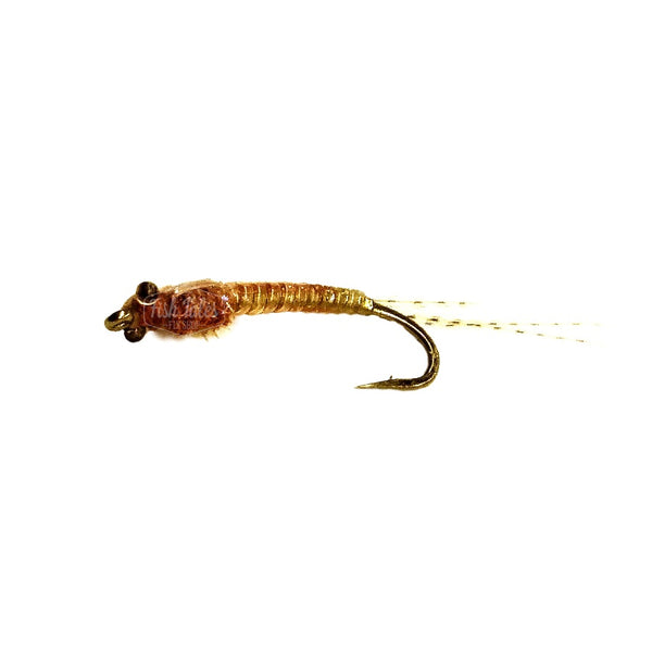 FT Flies Liquidlace Damsel Nymph
