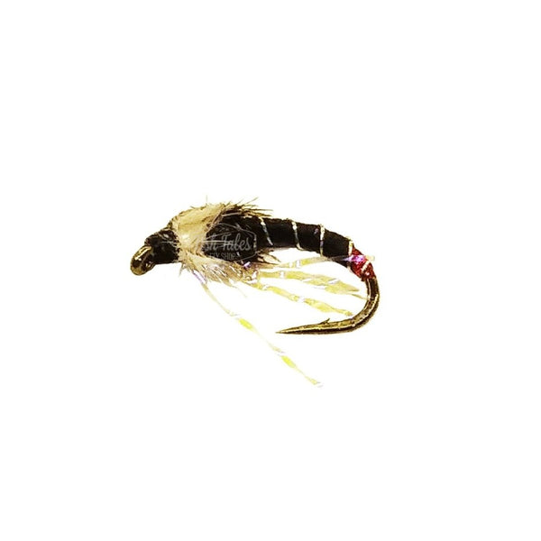 FT Flies Red Butt Buzzer Chironomid