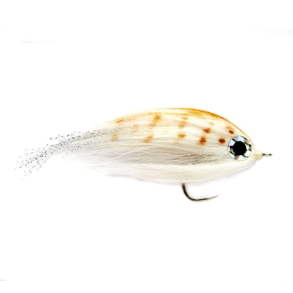 A baitfish fly in natural colors