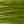 fulling mill micro flex floss closeup of olive 