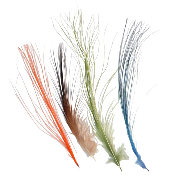 group of 4 differently colored burnt heron feathers for fly tying