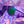 Purple Goodr Mach G aviator sunglasses with blue-tinted lenses on  an octopus stuffie over a light purple background.
