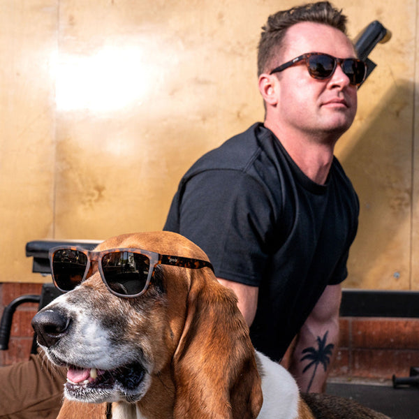 Man and dog wearing Goodr OG Sunglasses with tortoiseshell frame and dark lenses in front of a gold wall.