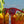 Goodr OG Phoenix at a Bloody Mary Bar Polarized Sunglasses sitting with celery and pickles on Bloody Mary drinks with a clear blue sky in the background.
